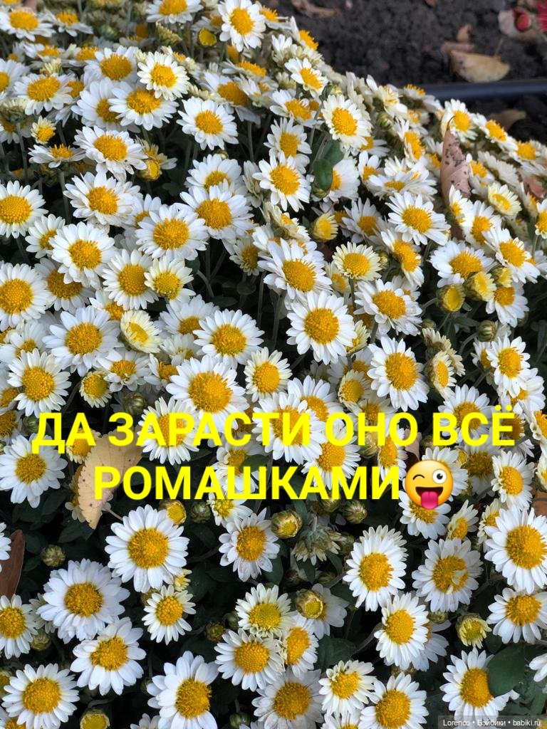 Мы пара — Игровые куклы разных производителей (Разное): редкие бренды