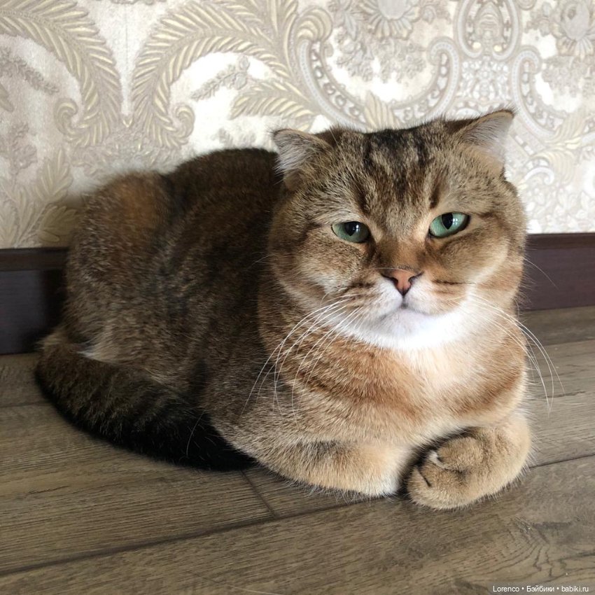 Мы пара — Игровые куклы разных производителей (Разное): редкие бренды