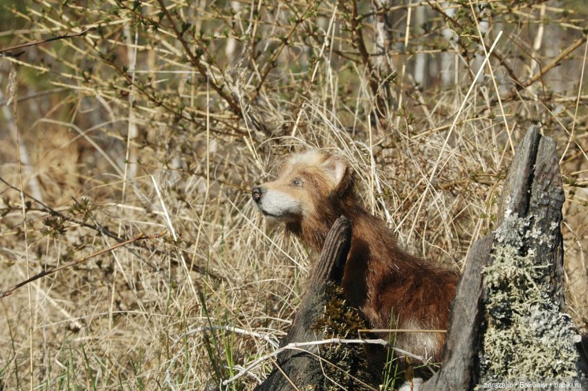 Братец волк — Авторские мишки Тедди и друзья: фото (фото 2)