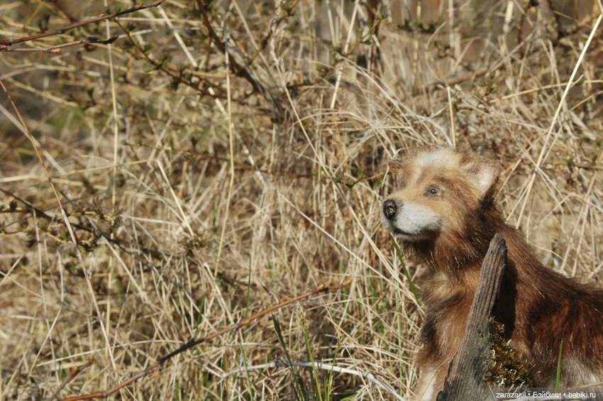 Братец волк — Авторские мишки Тедди и друзья: фото (фото 4)