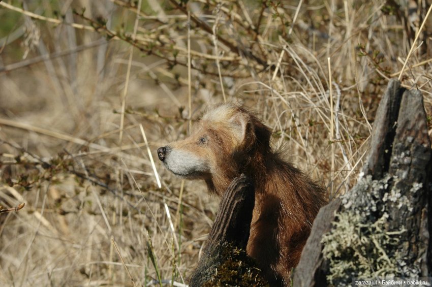 Братец волк — Авторские мишки Тедди и друзья: фото (фото 3)