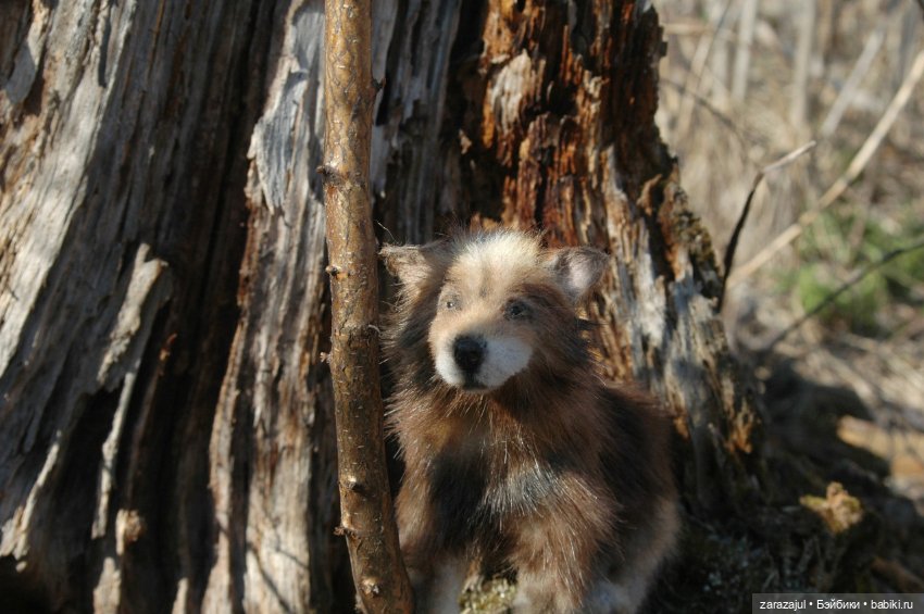 Братец волк — Авторские мишки Тедди и друзья: фото (фото 6)