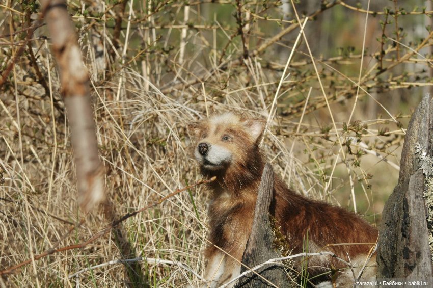 Братец волк — Авторские мишки Тедди и друзья: фото