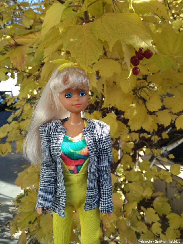 Штеффи и немного октября — Аналоги Барби и куклы 1/6: клоны 90 (фото 6)