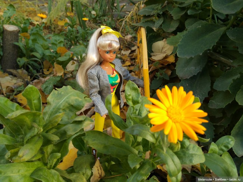 Штеффи и немного октября — Аналоги Барби и куклы 1/6: клоны 90 (фото 2)