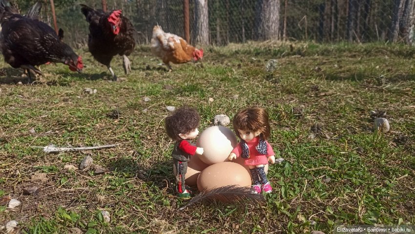 Найденыши. Realpuki. 159 — Фотоистории с куклами BJD (БЖД): сериалы (фото 5)