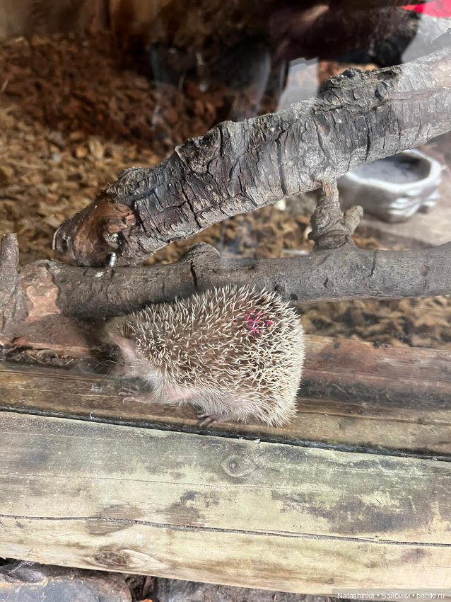 Fashion Dolls 358 — Туризм и путешествия: фотоотчеты из поездок