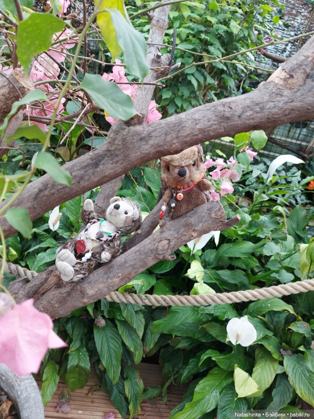 Fashion Dolls 358 — Туризм и путешествия: фотоотчеты из поездок