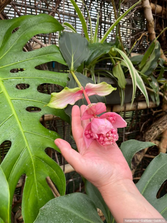 Fashion Dolls 358 — Туризм и путешествия: фотоотчеты из поездок