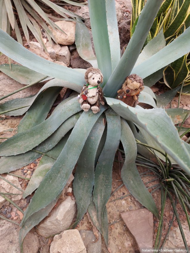 Fashion Dolls 358 — Туризм и путешествия: фотоотчеты из поездок