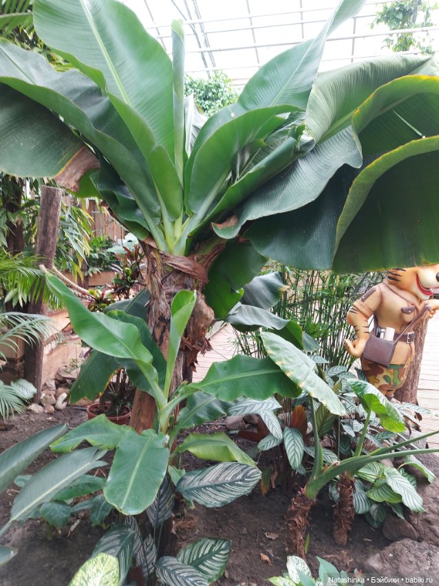 Fashion Dolls 358 — Туризм и путешествия: фотоотчеты из поездок (фото 6)