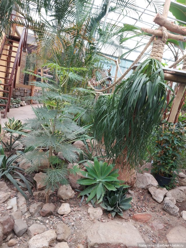 Fashion Dolls 358 — Туризм и путешествия: фотоотчеты из поездок (фото 3)