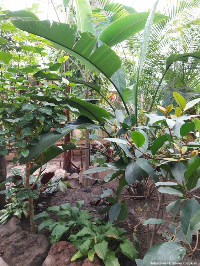 Fashion Dolls 358 — Туризм и путешествия: фотоотчеты из поездок (фото 5)