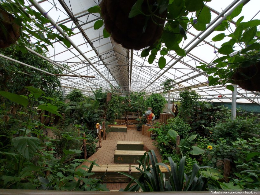 Fashion Dolls 358 — Туризм и путешествия: фотоотчеты из поездок