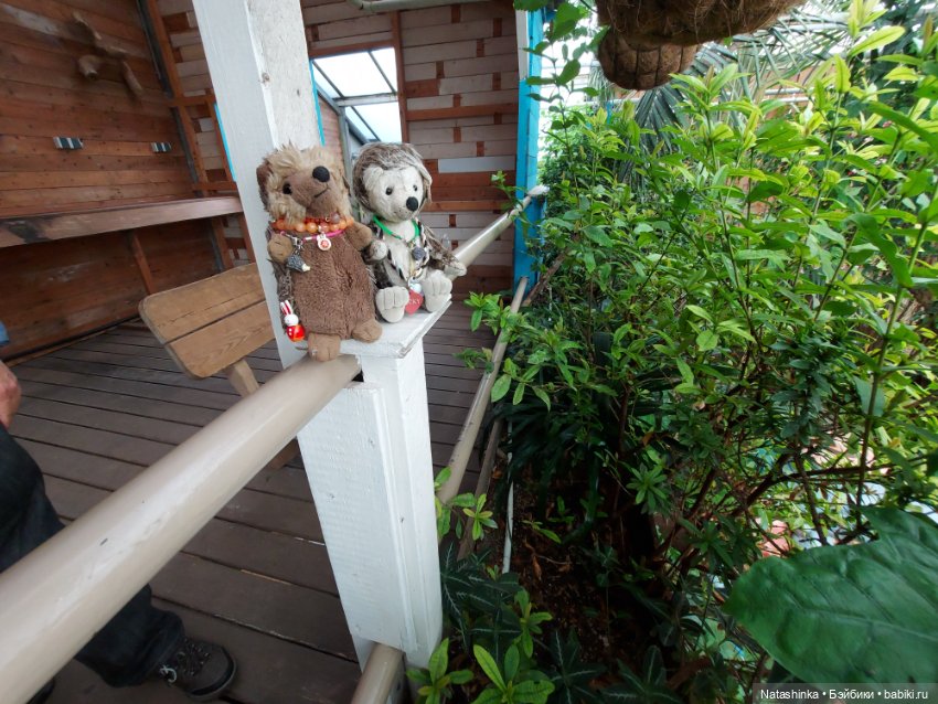 Fashion Dolls 358 — Туризм и путешествия: фотоотчеты из поездок