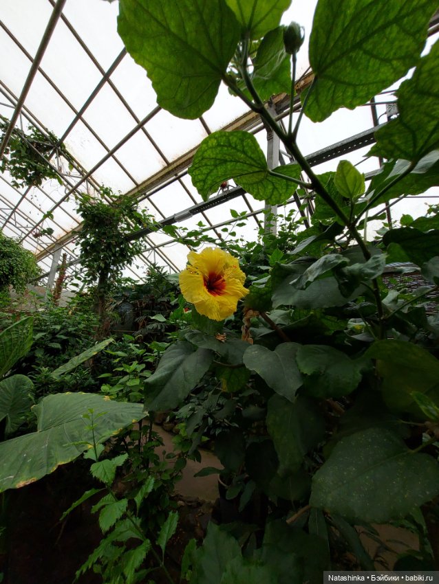 Fashion Dolls 358 — Туризм и путешествия: фотоотчеты из поездок