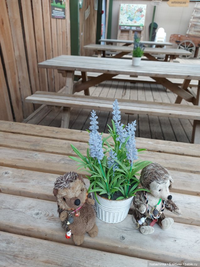 Fashion Dolls 358 — Туризм и путешествия: фотоотчеты из поездок