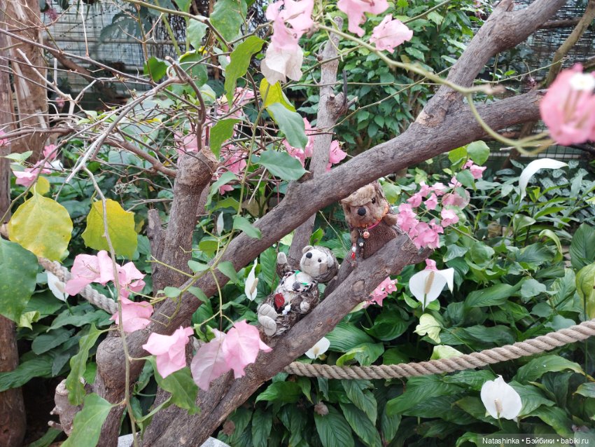 Fashion Dolls 358 — Туризм и путешествия: фотоотчеты из поездок