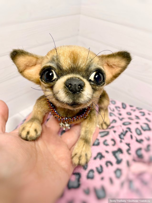 Hugo 17 см чихуахуа 🐾🐶подвижный (фото 4)