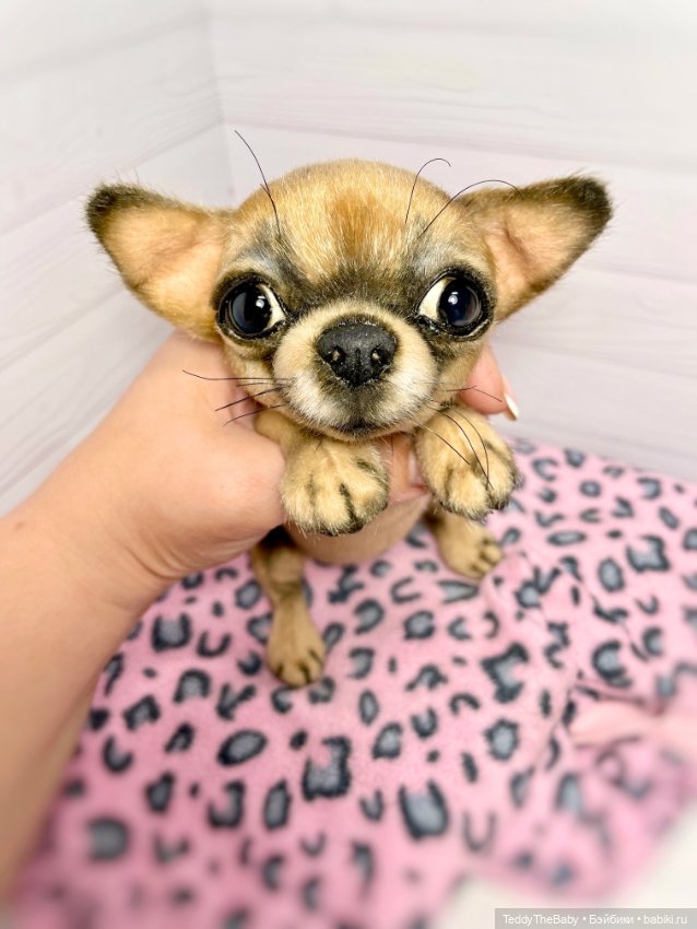 Hugo 17 см чихуахуа 🐾🐶подвижный