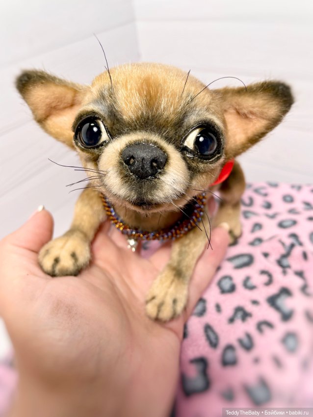 Hugo 17 см чихуахуа 🐾🐶подвижный (фото 5)