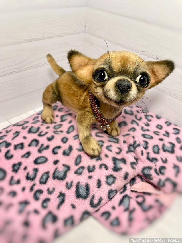 Hugo 17 см чихуахуа 🐾🐶подвижный