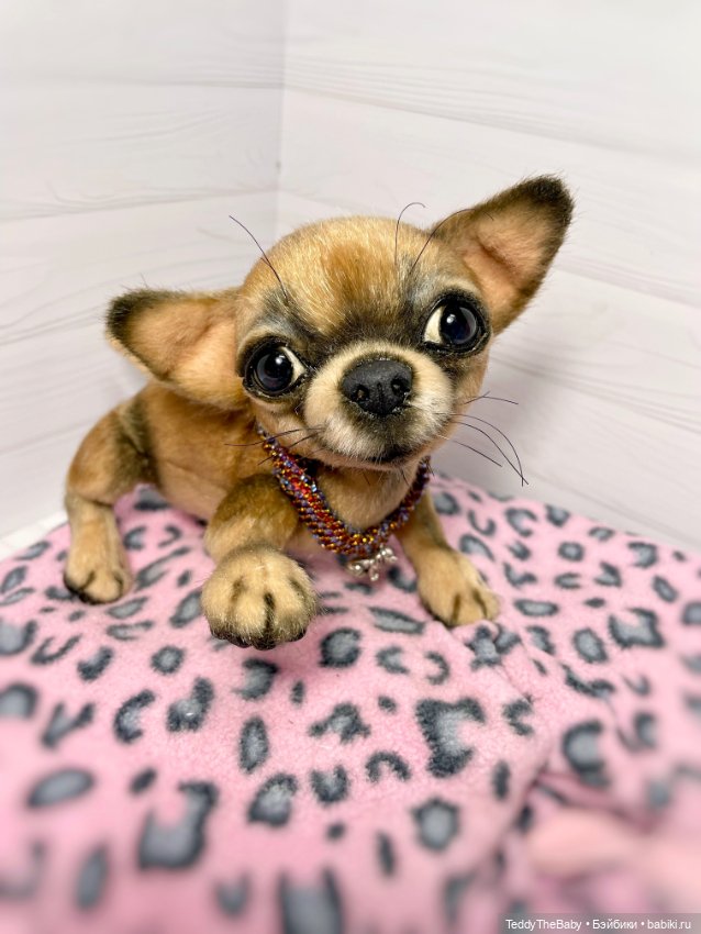 Hugo 17 см чихуахуа 🐾🐶подвижный