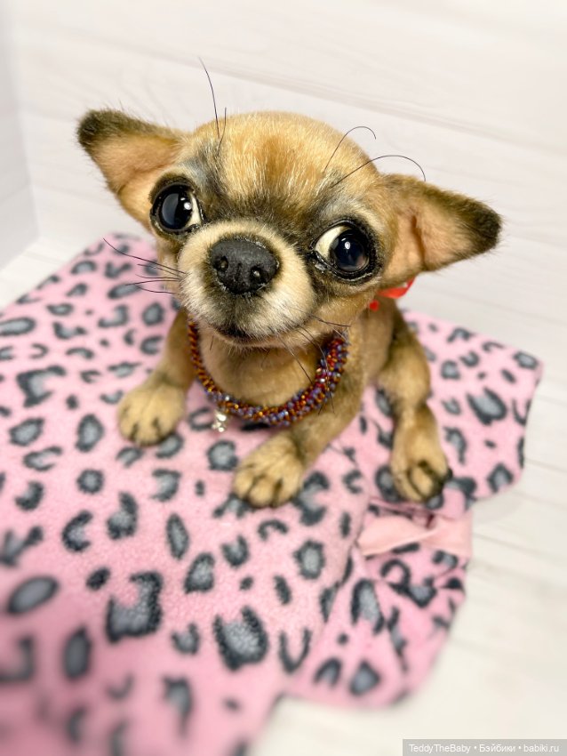 Hugo 17 см чихуахуа 🐾🐶подвижный