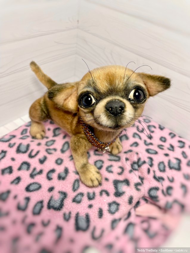 Hugo 17 см чихуахуа 🐾🐶подвижный