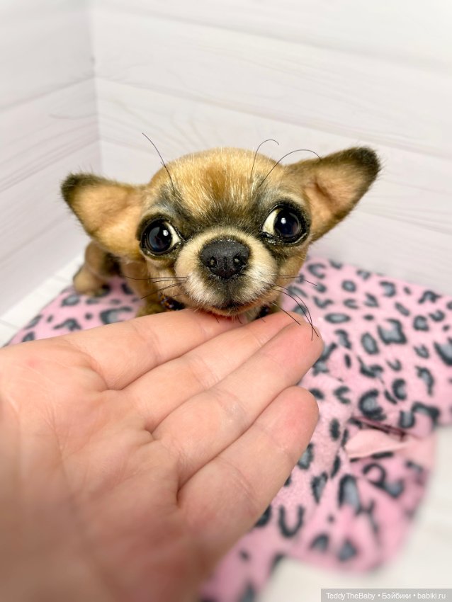 Hugo 17 см чихуахуа 🐾🐶подвижный