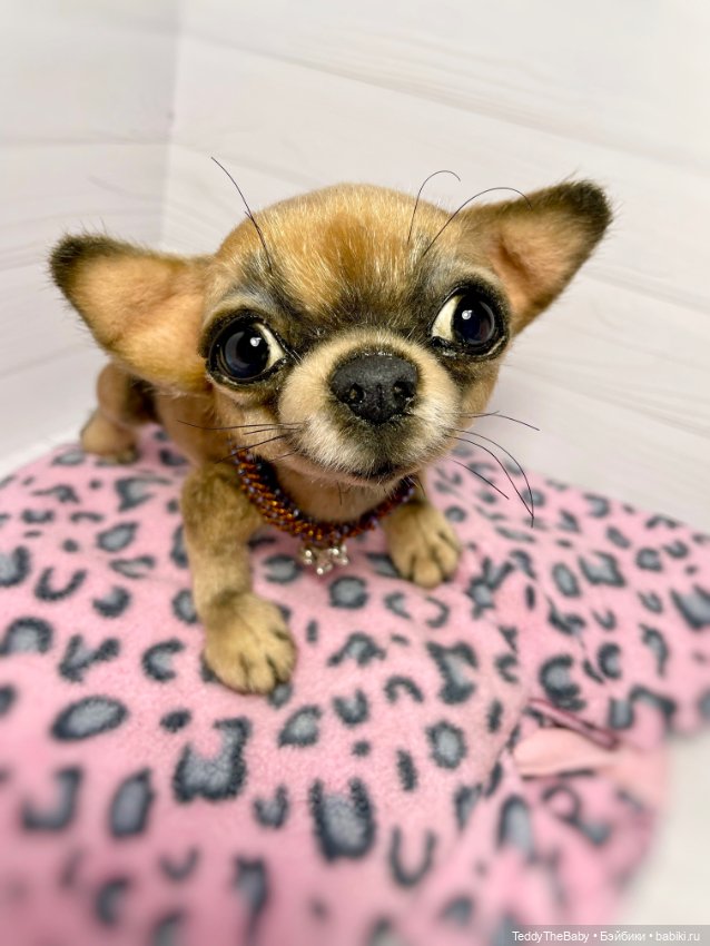 Hugo 17 см чихуахуа 🐾🐶подвижный