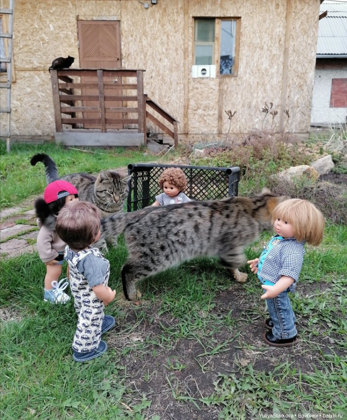 В футбол играют настоящие мужчины (фото 9)