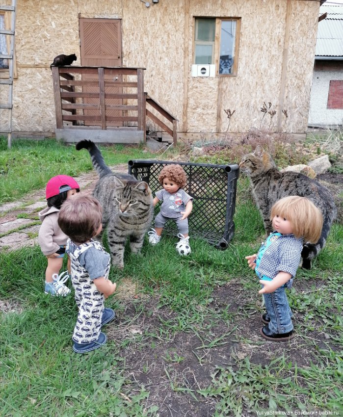 В футбол играют настоящие мужчины (фото 7)