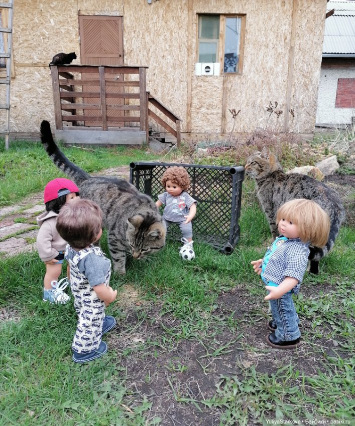 В футбол играют настоящие мужчины (фото 8)