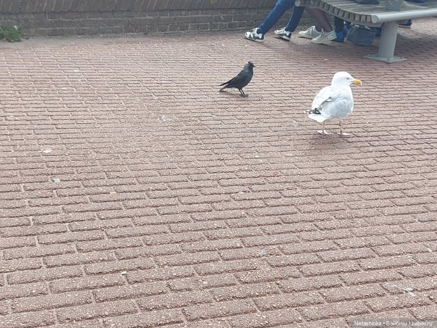 Fashion Dolls 359 — Туризм и путешествия: фотоотчеты из поездок (фото 7)