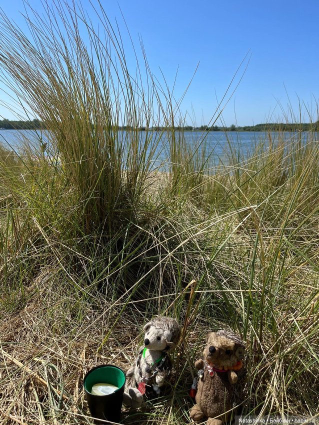 Fashion Dolls 359 — Туризм и путешествия: фотоотчеты из поездок (фото 2)