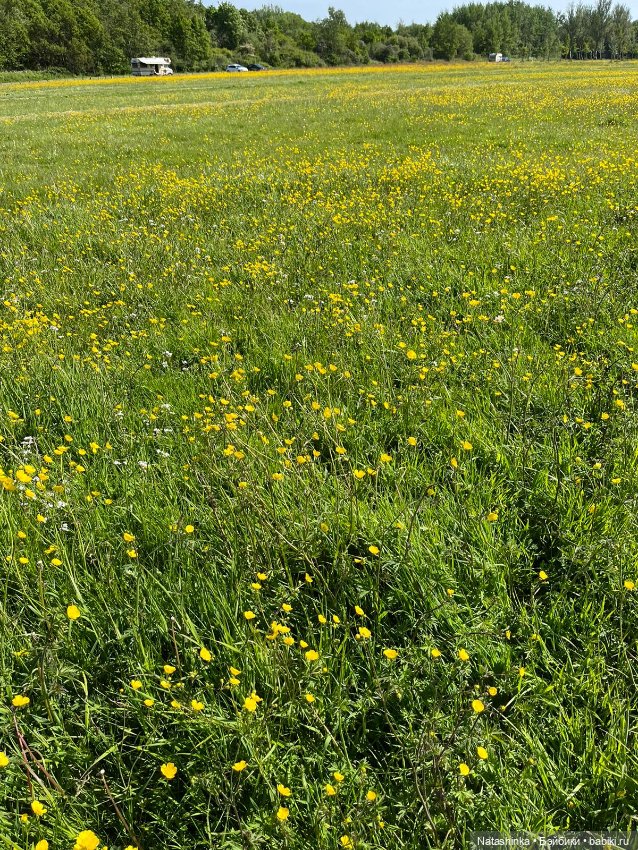 Fashion Dolls 359 — Туризм и путешествия: фотоотчеты из поездок (фото 3)