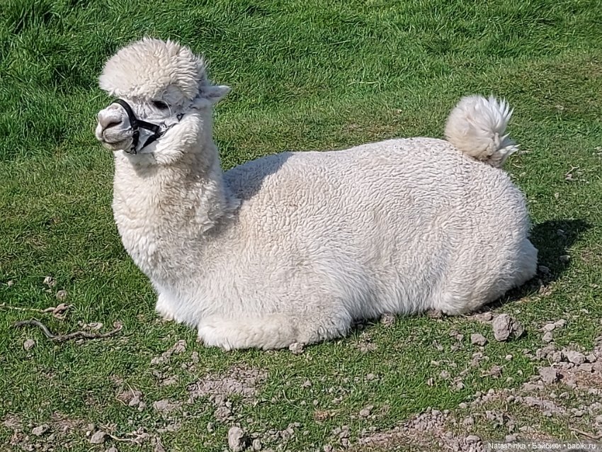 Fashion Dolls 359 — Туризм и путешествия: фотоотчеты из поездок (фото 8)