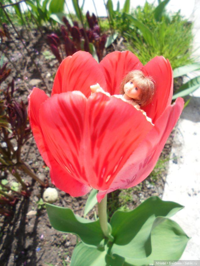 Дюймовочки в саду — Домашние фото авторских кукол: личные коллекции