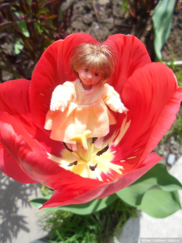 Дюймовочки в саду — Домашние фото авторских кукол: личные коллекции (фото 3)