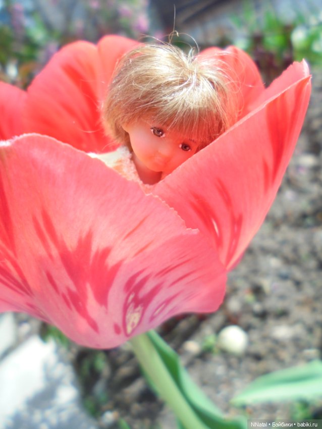 Дюймовочки в саду — Домашние фото авторских кукол: личные коллекции (фото 2)