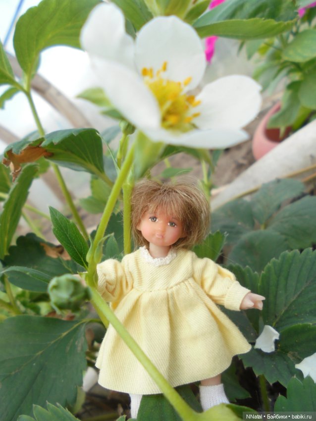 Дюймовочки в саду — Домашние фото авторских кукол: личные коллекции (фото 5)