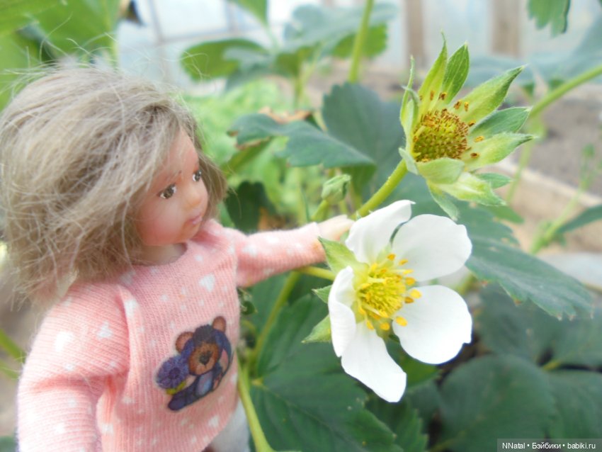 Дюймовочки в саду — Домашние фото авторских кукол: личные коллекции (фото 4)