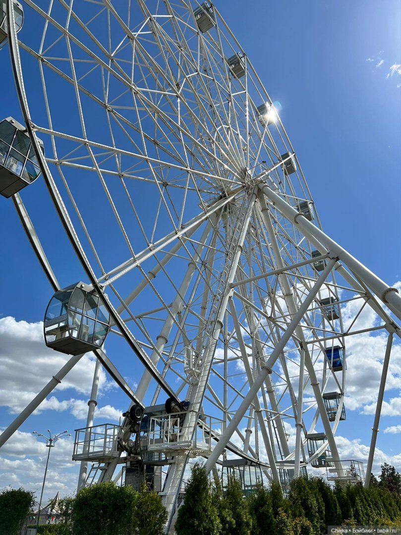 Бесстрашный город Волгоград (фото 8)