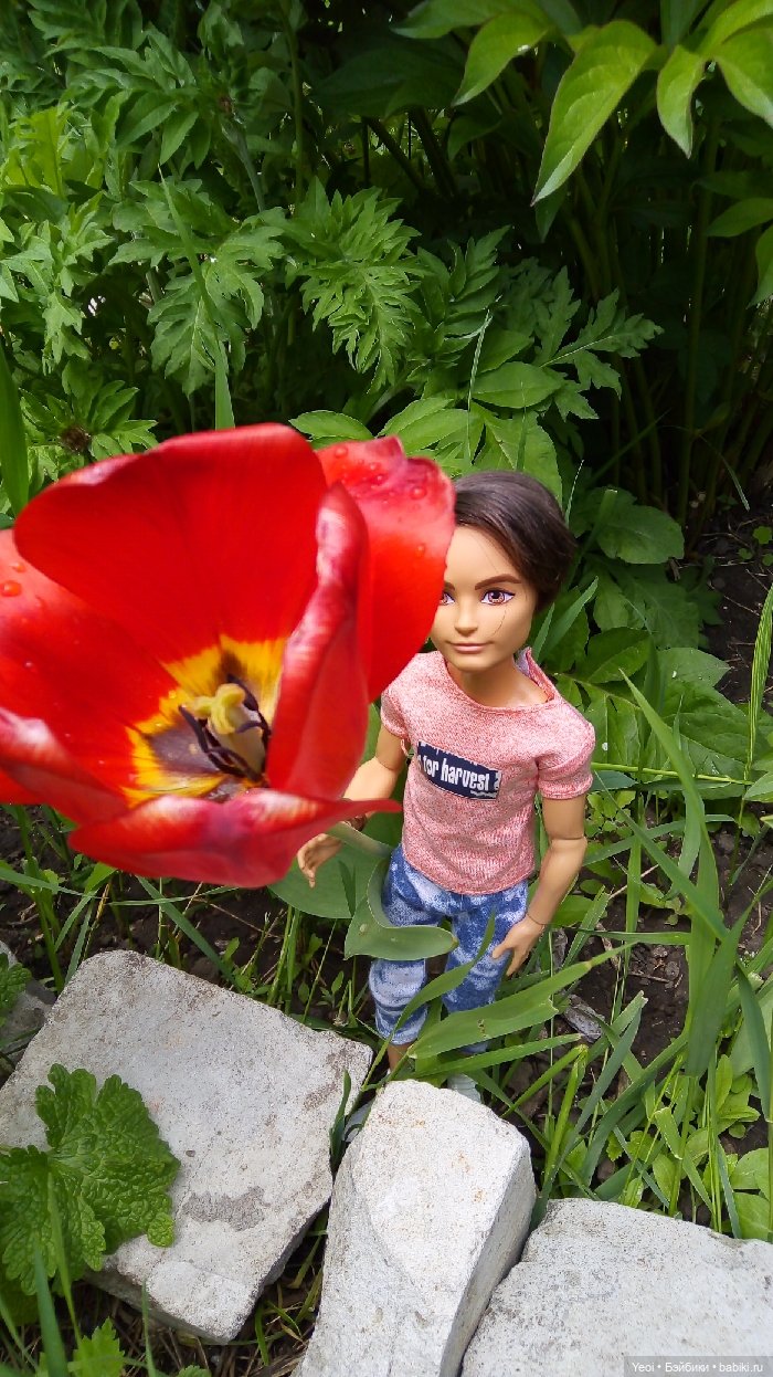 Хантер от Эвер Афтер Хай (ЭАХ) 01 (фото 8)