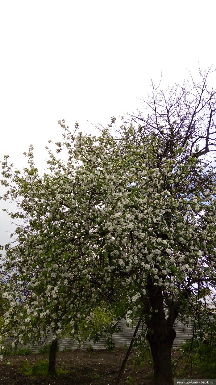 Хантер от Эвер Афтер Хай (ЭАХ) 02