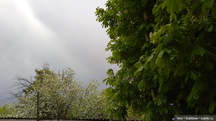 Хантер от Эвер Афтер Хай (ЭАХ) 02