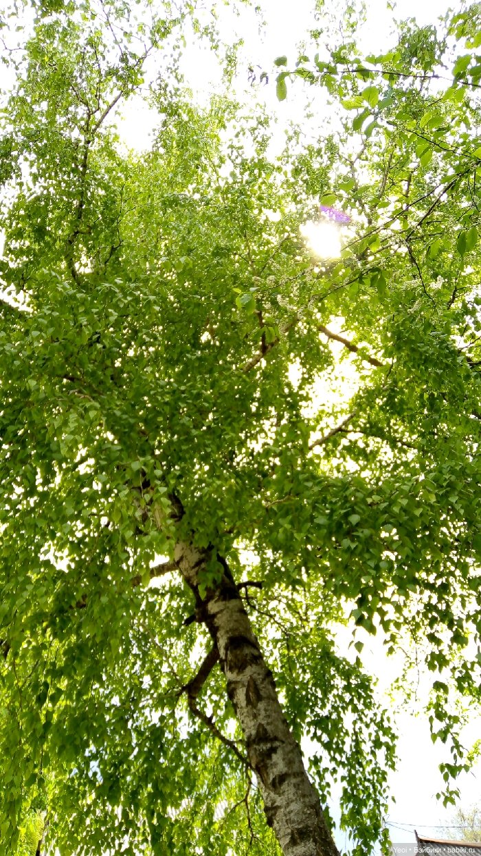 Хантер от Эвер Афтер Хай (ЭАХ) 01