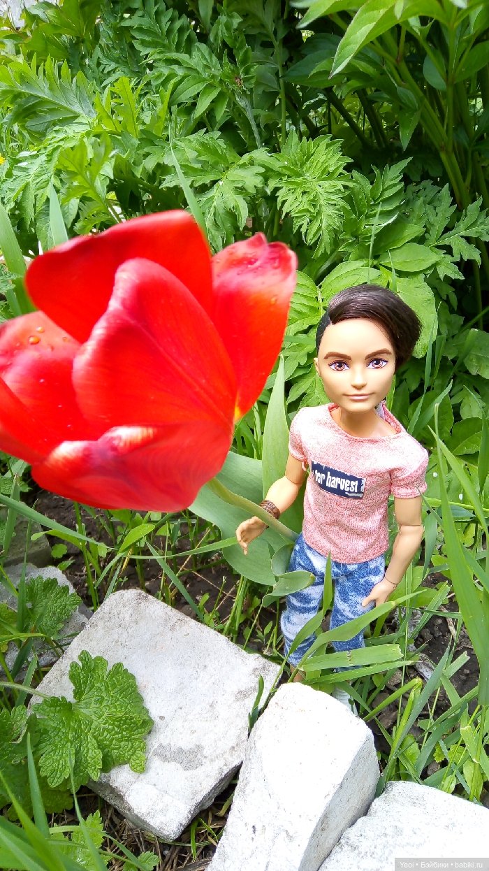 Хантер от Эвер Афтер Хай (ЭАХ) 01 (фото 7)