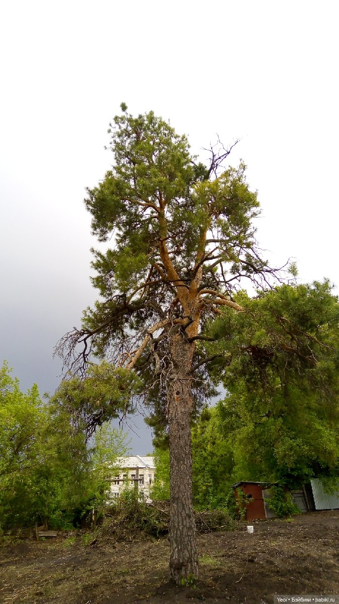 Хантер от Эвер Афтер Хай (ЭАХ) 02